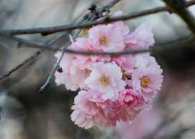 Your Spiritual Evolution: Four Transformative Teachings for the Spring Equinox