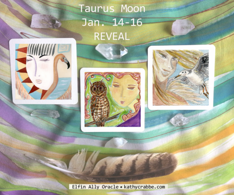 Inner Peace Shake UP + Pick a Card: Taurus Moon Vibes Jan. 14-16