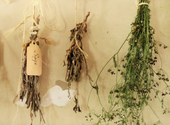 Altar Herbs