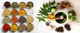 KItchen Witch Cures: Spice and Herbal Healers